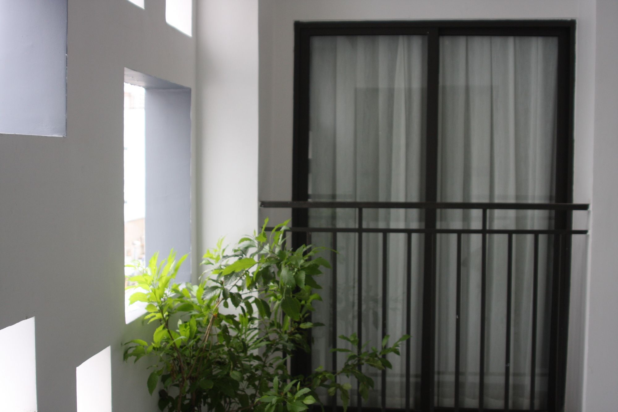 Ale Nha Trang Hotel Exteriér fotografie